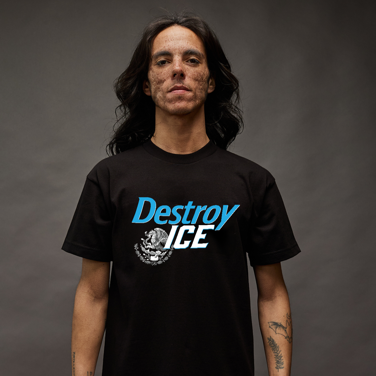 DESTROY ICE